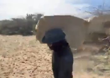Incautan 3,4 toneladas de cocaína en Uribia, La Guajira