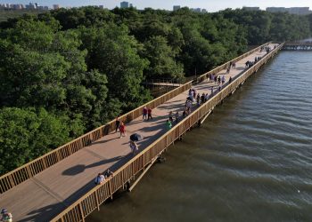 Foro Económico Mundial incluye a Barranquilla entre los modelos globales por su transformación ambiental y avances en infraestructura verde
