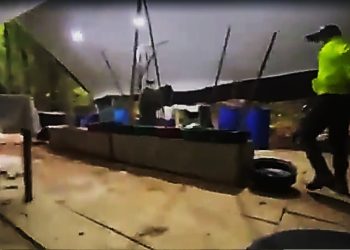 Golpe al narcotráfico en Norte de Santander: destruidos siete laboratorios y dos semilleros de coca