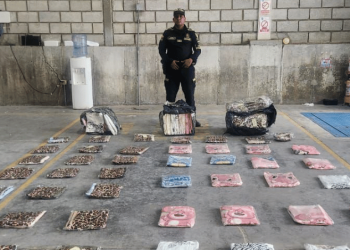 Decomisan confecciones y juguetes de contrabando en vías del Magdalena