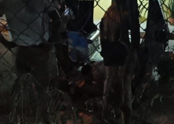 Asesinan a motocarrista en el barrio Manuela Beltrán