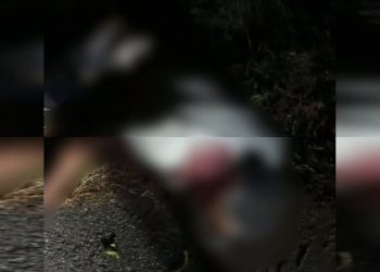 Accidente de tránsito en la vía Aguada de Pablo – Las Compuertas deja un hombre gravemente herido