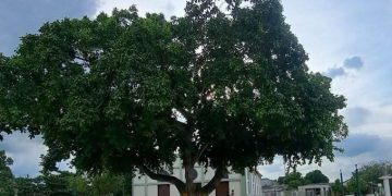 Aprehenden a adolescente señalado de homicidio en Ponedera, Atlántico