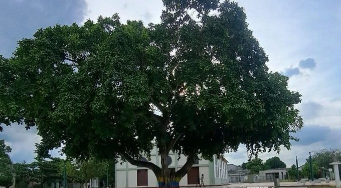 Aprehenden a adolescente señalado de homicidio en Ponedera, Atlántico