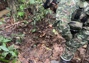 Ejército neutraliza explosivos y desmantela infraestructura ilegal que ponía en riesgo a comunidades de Caquetá y Putumayo