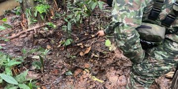 Ejército neutraliza explosivos y desmantela infraestructura ilegal que ponía en riesgo a comunidades de Caquetá y Putumayo