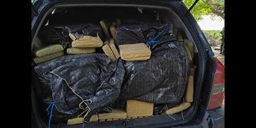Incautan 800 kilos de marihuana en la vía Mojarras-Popayán, Cauca