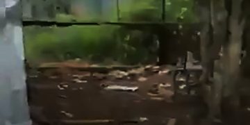 Denuncian que disidencias de las Farc usan un colegio en El Plateado, Cauca, para fabricar explosivos