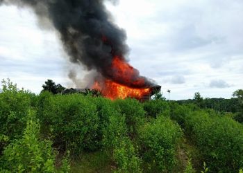 Golpe al narcotráfico en el Amazonas: destruyen cuatro laboratorios y casi tres toneladas de droga