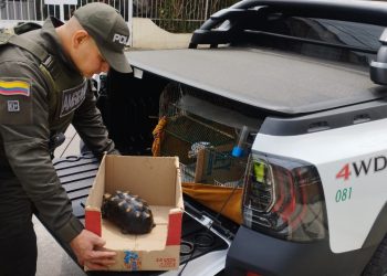 Policía rescató 10 animales de fauna silvestre en tres localidades de Bogotá