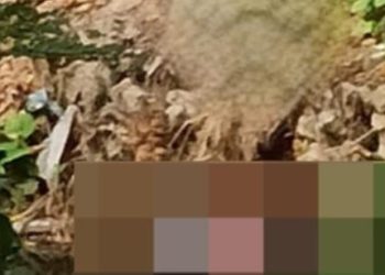 Violencia enlaza dos crímenes en Malambo: mujer asesinada y adolescentes atacados