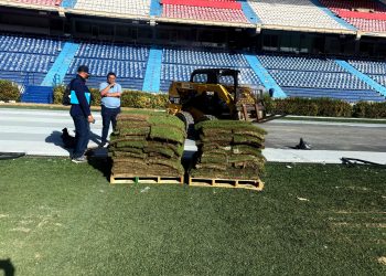 Alcalde Char anuncia una nueva vida para la grama del Metropolitano: será sembrada en parques y espacios públicos de Barranquilla