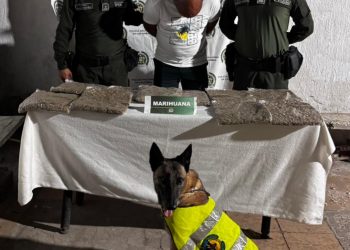 Incautan 5 kilos de marihuana en bus intermunicipal en la Cordialidad
