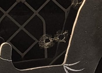 Atacan a bala vivienda en el barrio La Victoria en Barranquilla