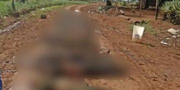 30 muertos dejarían enfrentamientos entre disidencias de las FARC en Guaviare