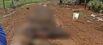 30 muertos dejarían enfrentamientos entre disidencias de las FARC en Guaviare