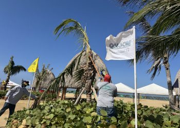Día Mundial de la Educación Ambiental: administración del alcalde Char promueve conservación de los espacios verdes