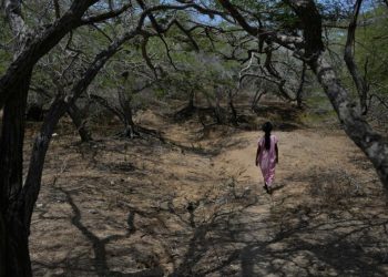 Acción en territorio: Procuraduría fortalece protección de la niñez Wayúu en Uribia, La Guajira