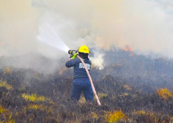 Ante la situación de desastre nacional, Procuraduría exige a autoridades garantizar sin interrupciones el servicio público esencial de bomberos