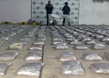 Incautan 730 kilos de marihuana en vivienda de Bellarena vinculada a banda ‘Los Pepes’