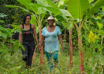 El poder del liderazgo local impulsa la transformación del campo en La Guajira