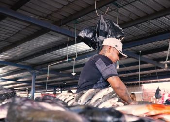 ¡Se dispara la venta de pescado! Plaza del Pescado proyecta 300 toneladas diarias en Semana Santa