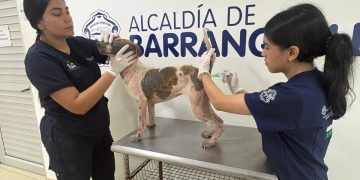 Con acompañamiento y atención integral, Distrito ratifica acciones para el bienestar de las personas y animales rescatados en predio intervenido