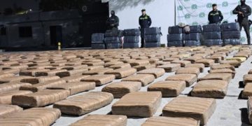 Barranquilla: Incautan más de una tonelada de marihuana vinculada a “Los Costeños”