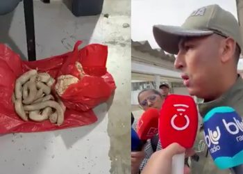 Incautan 29 celulares, drogas y armas dentro de la cárcel de La Dorada en intento de ingreso clandestino