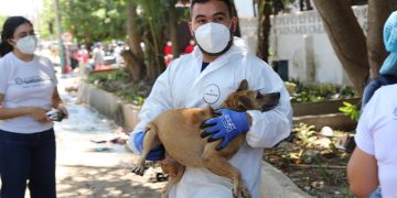 Rescatan más de 80 animales en Barranquilla: “Encontramos una realidad que duele”, afirma Ana María Aljure