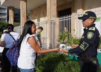 ¡Golpe al tráfico ilegal! Incautan 2.700 unidades de palma de cera en Barranquilla durante Semana Santa