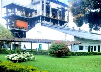 Histórico ingenio azucarero cierra sus puertas en el Valle: más de 300 empleos afectados