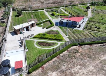 Alcaldía de Barranquilla impulsa en los barrios la siembra de frutas, hortalizas y plantas, se busca replicar huertas en toda la ciudad