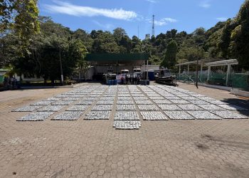 Armada incauta más de 3 toneladas de marihuana en el Pacífico y captura a tres personas