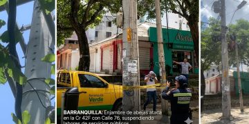 Alerta por abejas en poste en la carrera 42F con calle 76, norte de Barranquilla