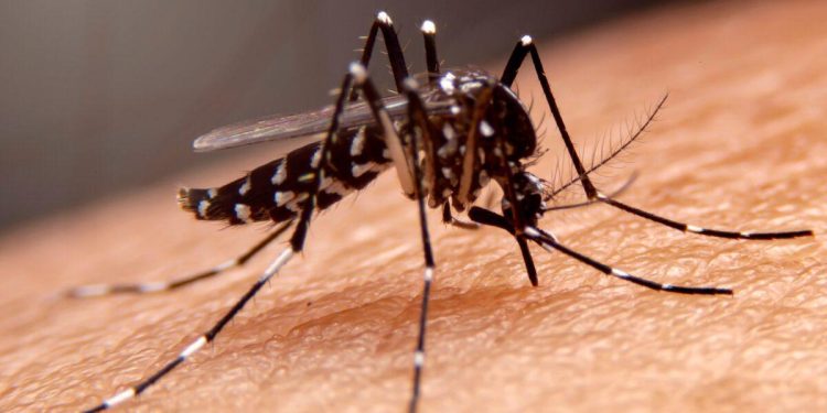 Alerta en Colombia: 18 fallecidos por fiebre amarilla en lo corrido de 2026