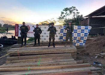 Armada Nacional incauta cerca de 287 metros cúbicos de madera en operativos contra la explotación ilegal