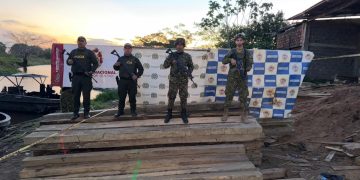 Armada Nacional incauta cerca de 287 metros cúbicos de madera en operativos contra la explotación ilegal