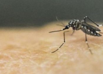 Muere niño de 6 años por dengue en Magdalena y enciende alerta sanitaria en 23 municipios