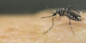 Muere niño de 6 años por dengue en Magdalena y enciende alerta sanitaria en 23 municipios