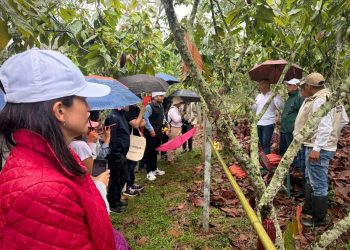 Colombia fortalece su posicionamiento internacional en sostenibilidad con café y cacao libres de deforestación