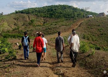 Procuraduría pide acelerar la restitución de tierras: quedan 5 años para cumplir la Ley de Víctimas