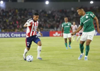 El gramado del Jaime Morón, bajo la lupa: críticas tras el empate entre Junior y Palmeiras