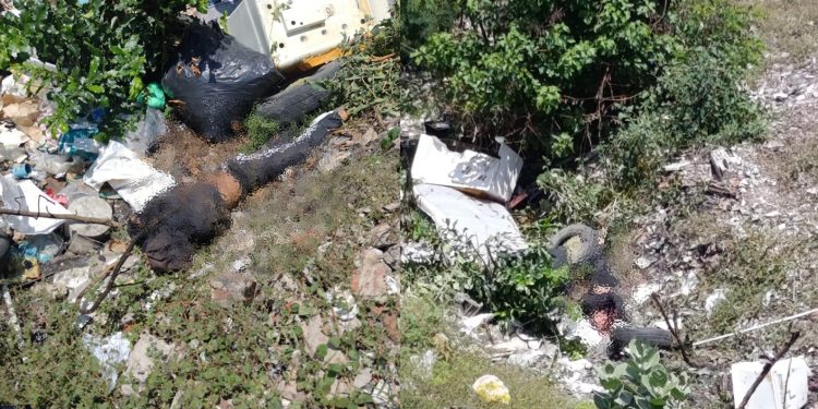 Hallan sin vida a reciclador “Cebollita” en el barrio Carlos Meisel de Barranquilla