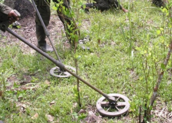 Procuraduría rechaza el empleo de Minas Antipersonal y solicita acciones urgentes frente a las recientes afectaciones en Catatumbo y el Bajo Cauca antioqueño