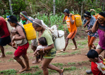 Busca garantizar el respeto de sus derechos fundamentales y la adecuada participación de esta comunidad en el proyecto “REDD+NUKAK BAKA”.