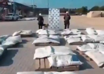 Incautan 1,6 toneladas de cocaína en el Puerto de Cartagena: cargamento sería del ‘Clan del Golfo’