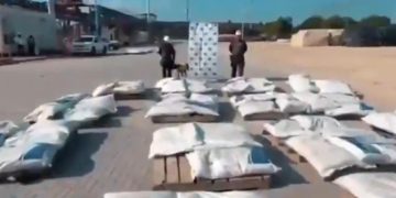 Incautan 1,6 toneladas de cocaína en el Puerto de Cartagena: cargamento sería del ‘Clan del Golfo’