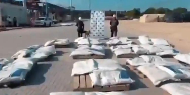 Incautan 1,6 toneladas de cocaína en el Puerto de Cartagena: cargamento sería del ‘Clan del Golfo’