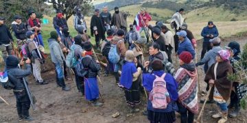 Violencia en el Cauca: enfrentamientos entre pueblos Misak y Nasa dejan 6 muertos y 65 heridos